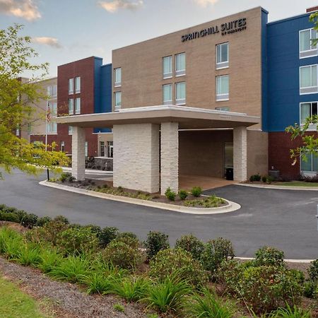 Springhill Suites By Marriott Suwanee Johns Creek מראה חיצוני תמונה